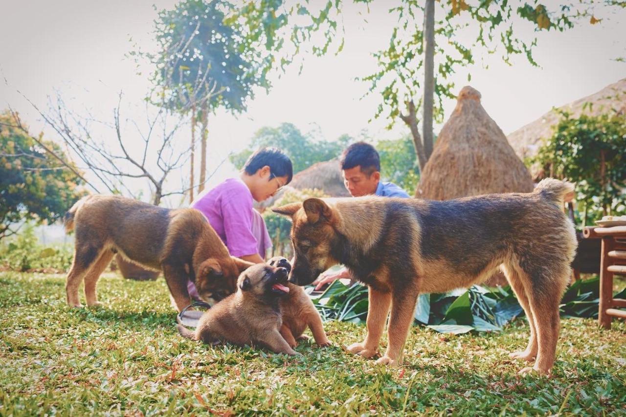 Mai Chau Valley Retreat Eksteriør billede