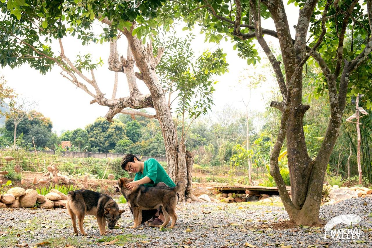 Mai Chau Valley Retreat Eksteriør billede